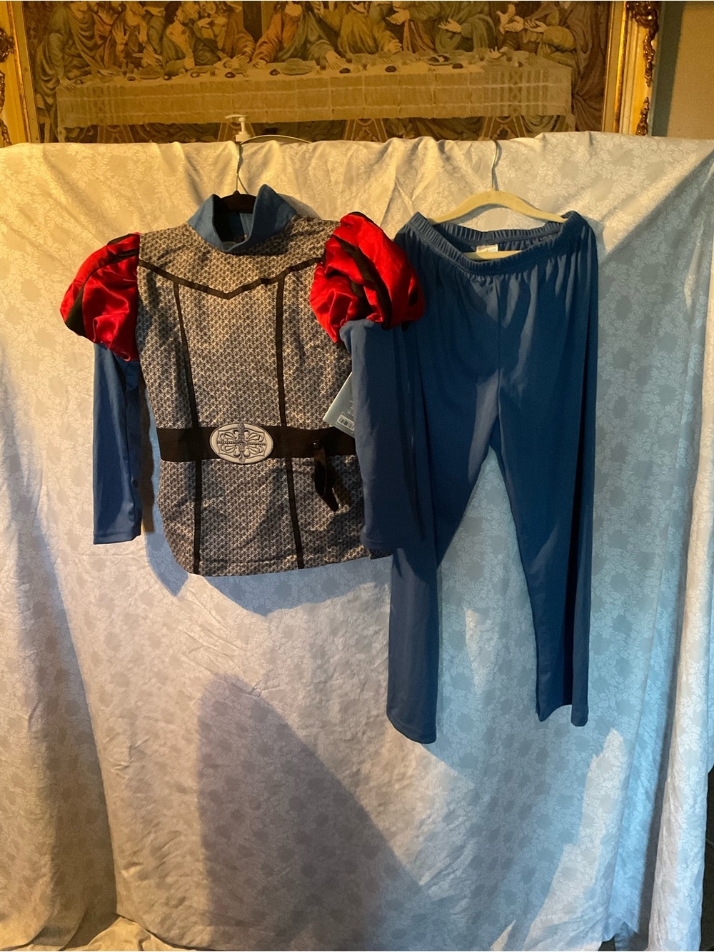 Disney Prince Phillip Costume Sleeping Beauty